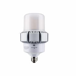 65/32W LED AP37 Bulb, Dimmable, E26, 8450/4420 lm, 100-277V