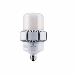 65/32W LED AP37 Bulb, Dimmable, E26, 8450/4420 lm, 100-277V