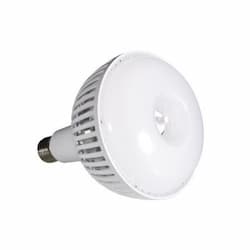 80W LED High Bay Bulb, 250W HID Retrofit, EX39, 10000 lm, 5000K