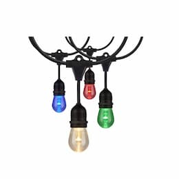 24-ft 12W LED String Light, 12 S14 Bulbs, 85 lm, 120V, RGBW