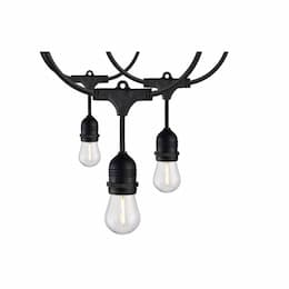 60-ft 24W LED String Light, 24 S14 Bulbs, 100 lm, 120V, 2200K, Black