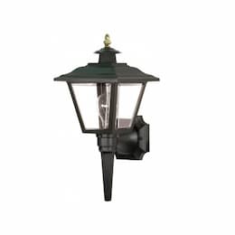 60W Coach Outdoor Wall Lantern w/ Brass Trimmed Acrylic Panels, Black