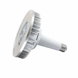 140W LED High Bay Bulb, Direct Wire, EX39, 19600 lm, 120V-277V, 4000K