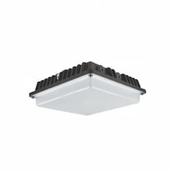 10" 20W LED Canopy Light, 70W HPS Retrofit, 2000 lm, 4000K, Bronze