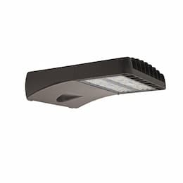 145W LED Shoebox Light, 400W MH Retrofit, 347V-480V, Type III, 5000K, Bronze