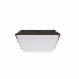 10-in 55W Canopy Light, 175W MH Retrofit, 6837 lm, 5000K, Bronze