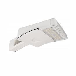 220W LED Area Light, Type IV, 28500 lm, 347V-480V, 4000K, White