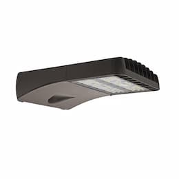 290W LED Area Light, Type III, 39600 lm, 347V-480V, 4000K, Bronze