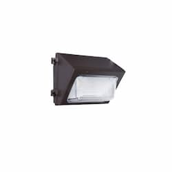 Visor for Non-cutoffWall Pack, Small 