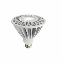 30W LED PAR38 Bulb, Spot Flood, Dimmable, E26, 2700 lm, 2700K