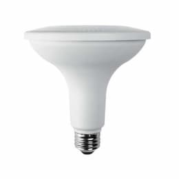 13W LED PAR38 Bulb, Flood, Dimmable, E26, 1100 lm, 120V, 5000K, Bulk