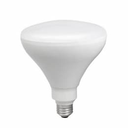 12W LED BR40 Bulb, E26, 120V, 680 lm, 2400K