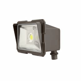 20W LED Flood light, 5000K, 1725 Lumens, Bronze