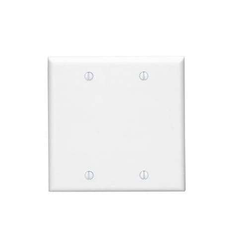 Aida 2-Gang Standard Wall Plate, Blank, Plastic, White