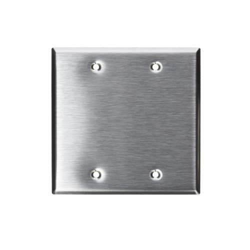 Aida 2-Gang Wall Plate, Blank, Stainless Steel