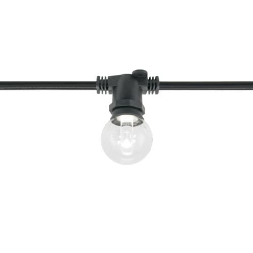 American Lighting 10W LS Series Commercial Grade Light String, E17 Base, Black