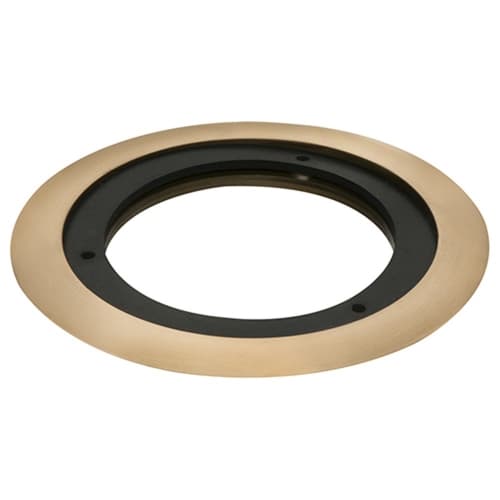 Arlington Industries Carpet Ring for Flush Floor Box, Brass