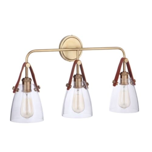 Craftmade Hagen Vanity Light Fixture w/o Bulbs, 3 Lights, E26, Vintage Brass