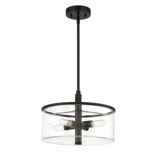 Craftmade Hailie Pendant Light Fixture w/o Bulbs, 4 Lights, E12, Flat Black