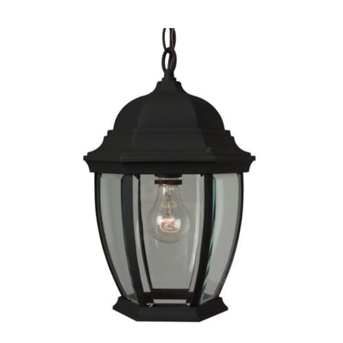 Craftmade Bent Glass Cast Outdoor Pendant Fixture w/o Bulb, E26, Textured Black