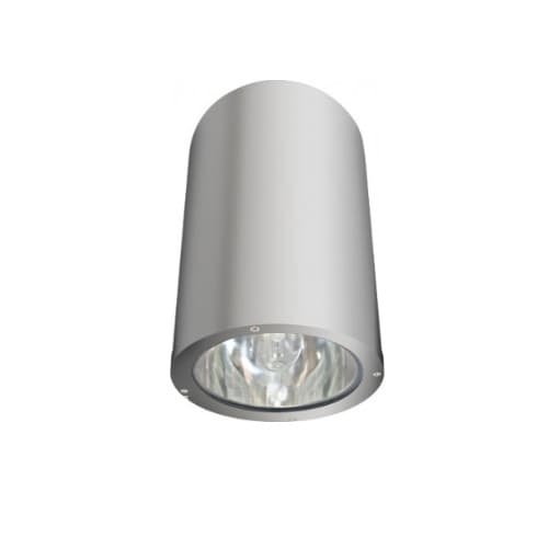 Dabmar 18W LED Ceiling Light, Flood, 2700K, Aluminum