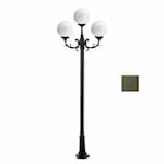 Dabmar 10-ft 9W LED Globe Lamp Post, Three-Head, A19, GU24, 120V, Bronze