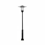 Dabmar 11-ft 30W LED Large Hat Top Lamp Post, 85V-285V, Black/Clear