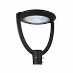 Dabmar 75W LED Large Post Top Fixture, 9750 lm, 100V-277V, 5000K, Black