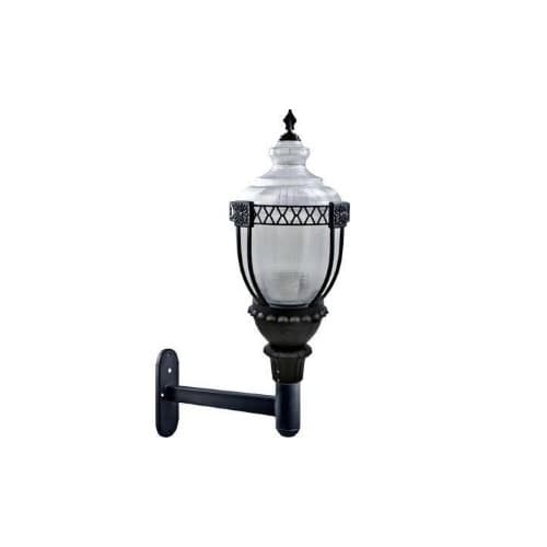 Dabmar 120W Clear Acorn LED Wall Fixture w/Mogul Base, Black