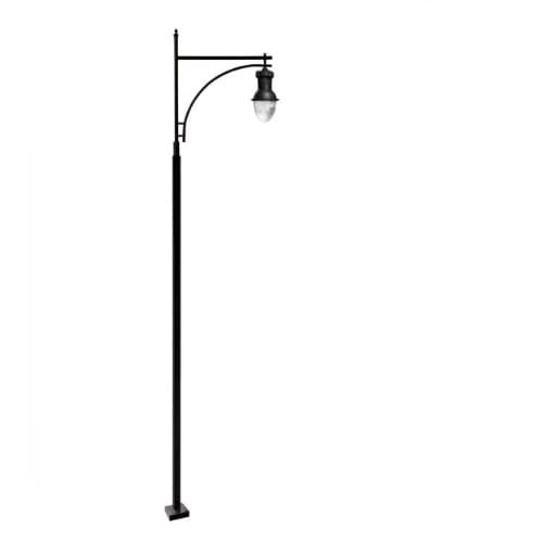 Dabmar 120W Single Arm Acorn Steel LED Lamp Post w/PC Lens, Black