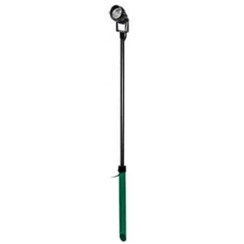 Dabmar 6W Directional Spot Light w/ 24-in Stem, 400 lm, 12V, 6500K, V. Green