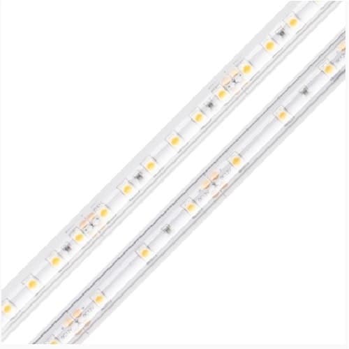 Diode LED 100-ft 1.43W LED Tape Light, Dim, 12V, 130 lm, 5000K