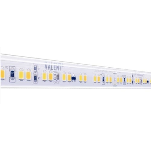 Diode LED 100-ft 4.4W/ft Valent Warm Dim Tape Light, Wet, 24V, 3000K-1800K