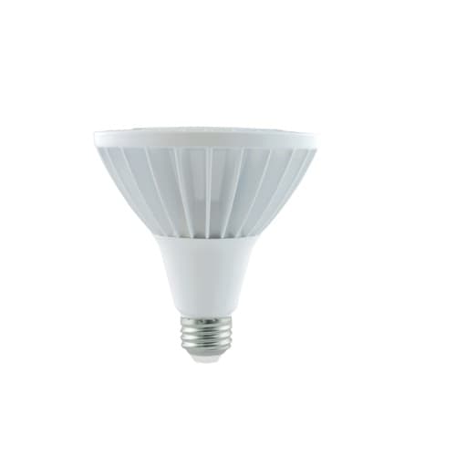 EnVision 32W LED PAR38 Jewelry Bulb, E26, 3300 lm, 120V-277V, 12000K