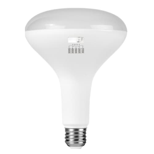 ESL Vision 13W LED BR40 Bulb, E26, 90 CRI, 1050 lm, 120V, Selectable CCT, Frosted