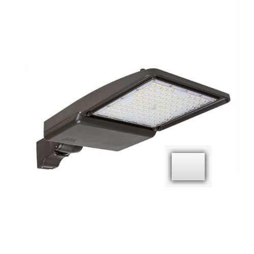 ESL Vision 110W LED Shoebox Area Light w/ Direct Arm Mount, 0-10V Dim, 15780 lm, 3000K, White