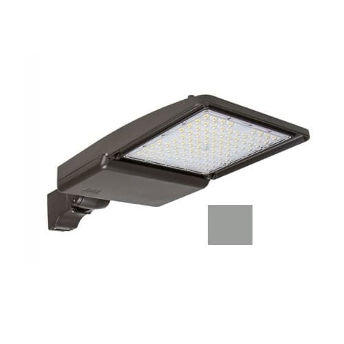 ESL Vision 200W LED Shoebox Light w/ Yoke Mount, 0-10V Dim, 120-277V, 32712 lm, 5000K, Grey