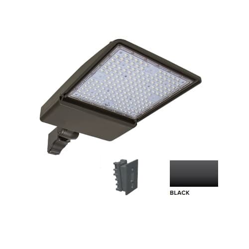 ESL Vision 250W LED Shoebox Area Light w/ Direct Arm Mount, 0-10V Dim, 40093 lm, 4000K, Black