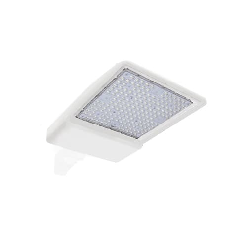 ESL Vision 250W LED Shoebox Area Light w/ 4" Round Pole Mount, 0-10V Dim, 40093 lm, 4000K, White