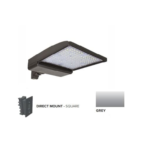 ESL Vision 250W LED Shoebox Area Light w/ Direct Arm Mount, 0-10V Dim, 42159 lm, 5000K, Grey