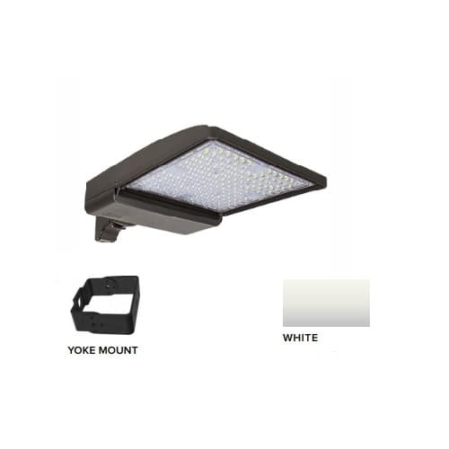 ESL Vision 250W LED Shoebox Area Light w/ Yoke Mount, 0-10V Dim, 42159 lm, 5000K, White