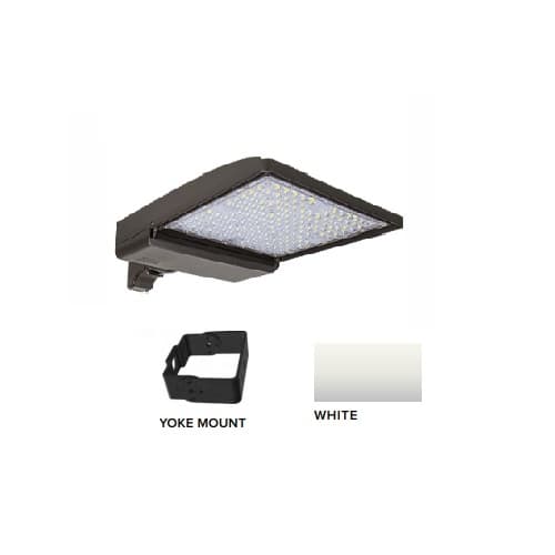 ESL Vision 320W LED Shoebox Area Light w/ Yoke Mount, 0-10V Dim, 43894 lm, 3000K, White