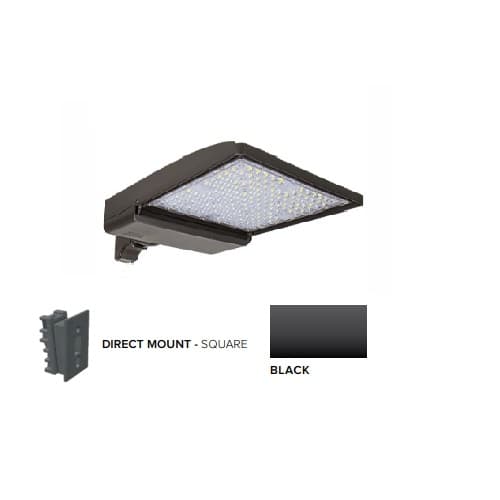 ESL Vision 320W LED Shoebox Area Light w/ Direct Arm Mount, 0-10V Dim, 48643 lm, 5000K, Black