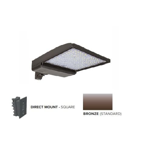 ESL Vision 320W LED Shoebox Area Light w/ Direct Arm Mount, 0-10V Dim, 48643 lm, 5000K, Bronze