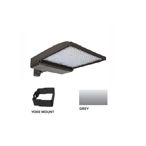 ESL Vision 320W LED Shoebox Area Light w/ Yoke Mount, 0-10V Dim, 48643 lm, 5000K, Grey