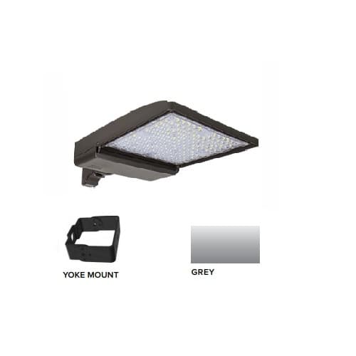 ESL Vision 320W LED Shoebox Area Light w/ Yoke Mount, 480V, 0-10V Dim, 48643 lm, 5000K, Grey