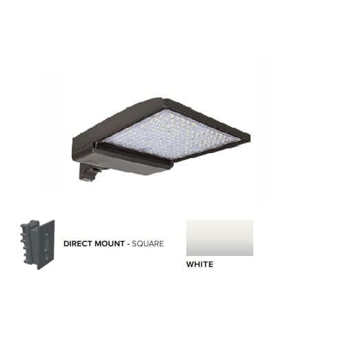 ESL Vision 320W LED Shoebox Area Light w/ Direct Arm Mount, 480V, 0-10V Dim, 48643 lm, 5000K, White