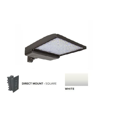 ESL Vision 320W LED Shoebox Area Light w/ Direct Arm Mount, 0-10V Dim, 48643 lm, 5000K, White