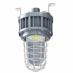 50W LED Hazard Jelly Jar Light, Class 1, Div 1, 120V-277V, 5000K