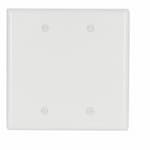 Eaton Wiring 2-Gang Mid-Size Blank Wallplate, White